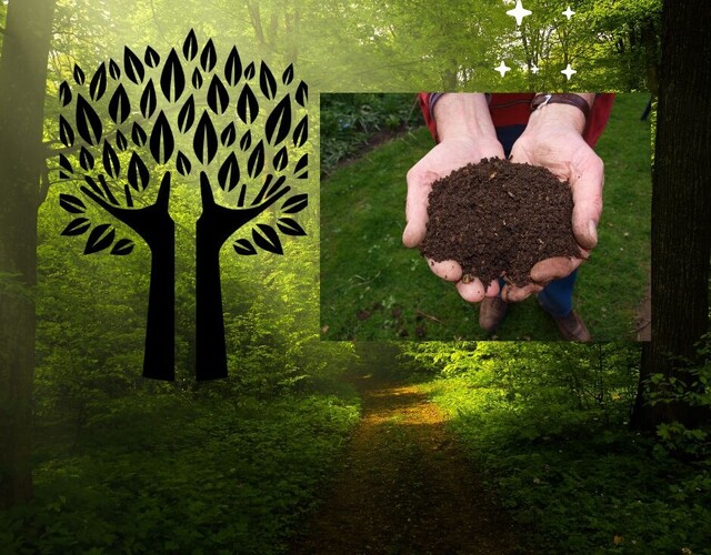 Distribution d'arbres et de compost