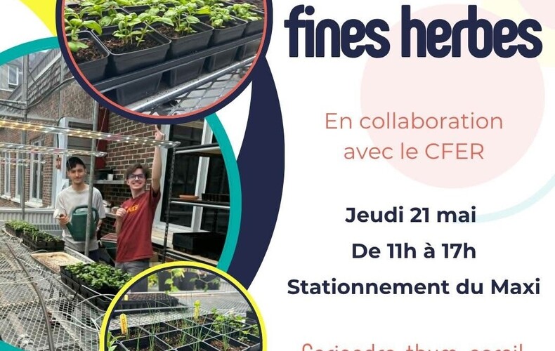 Ventes de fines herbes