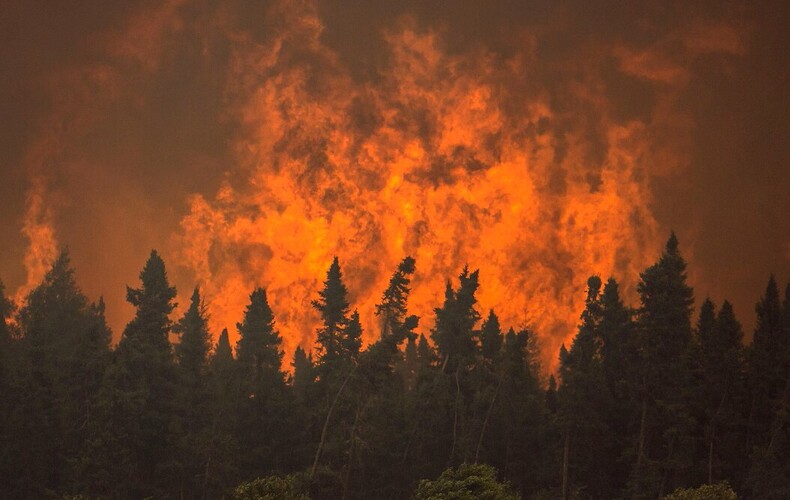 INTERDICTION DE FEUX À CIEL OUVERT